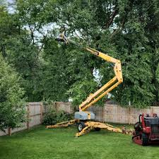 Best Tree Risk Assessment  in Lawton, IA